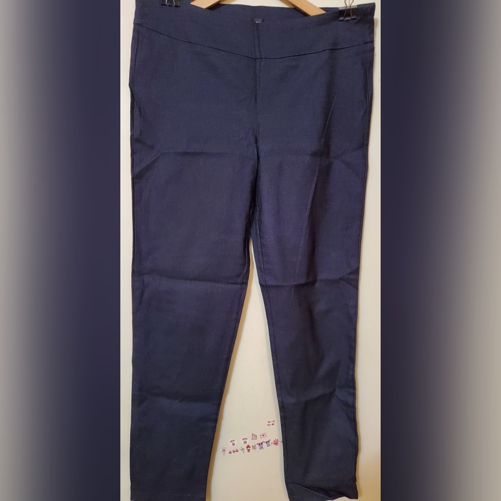 Stretch Dress Pant (Size 16)